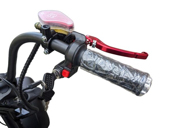 Трехколесный электроскутер Citycoco M6 Pro